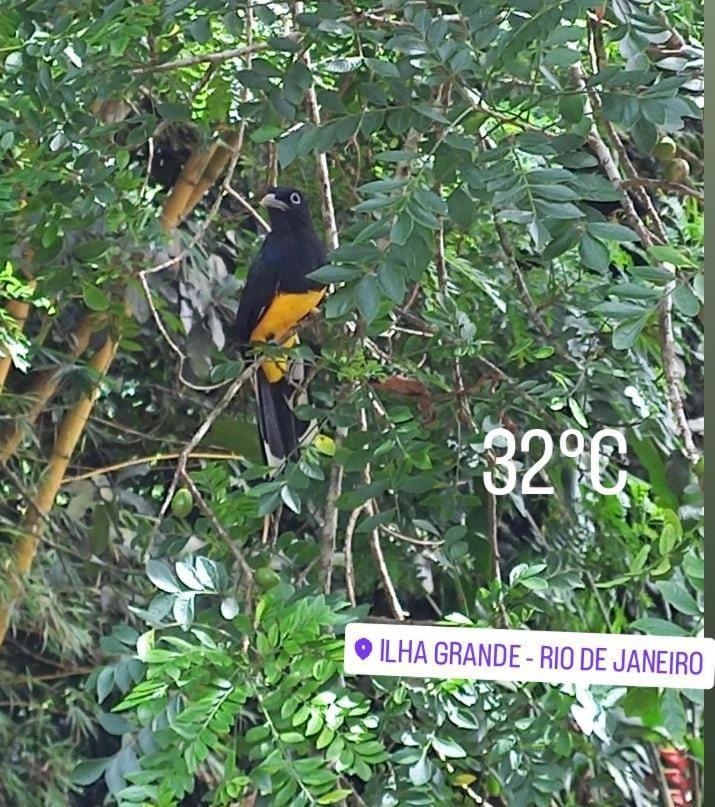Bangalo Na Acqua Jungle Lodge Abraão Εξωτερικό φωτογραφία