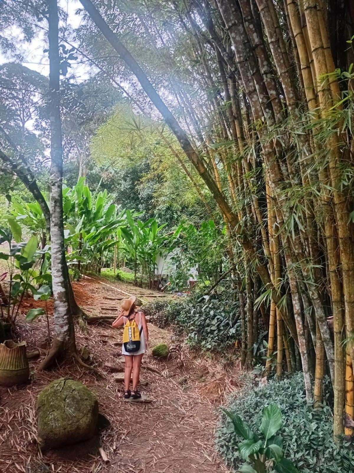 Bangalo Na Acqua Jungle Lodge Abraão Εξωτερικό φωτογραφία