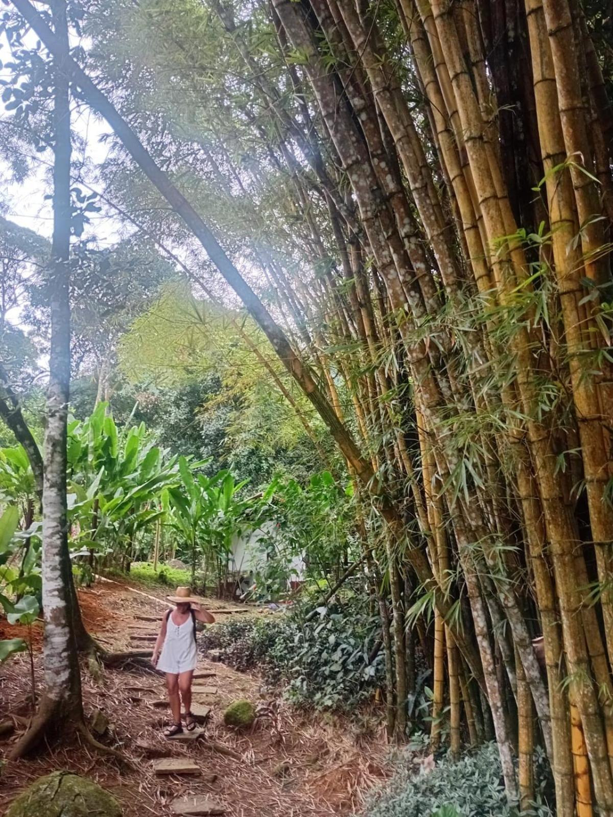 Bangalo Na Acqua Jungle Lodge Abraão Εξωτερικό φωτογραφία